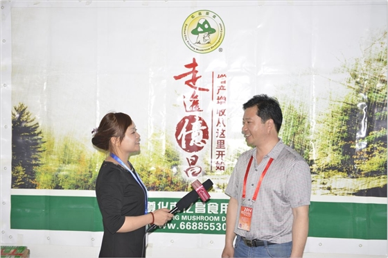2014.05.11鄭州會(huì)議期間：中國食用菌商務(wù)網(wǎng)記著采訪億昌菌業(yè)張東平-億昌菌業(yè).JPG