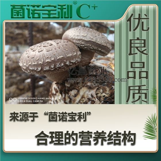 億昌菌業(yè)菌諾寶利C+：注水C+（網(wǎng)頁(yè)版）PC-4（優(yōu)良品質(zhì)，來自于“菌諾寶利”合理的營(yíng)養(yǎng)結(jié)構(gòu)）.png
