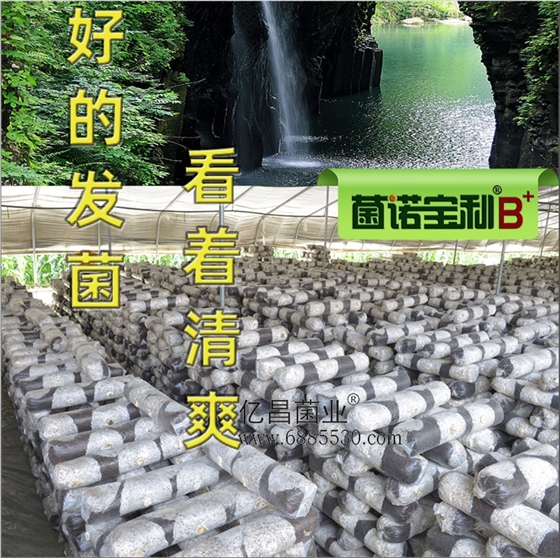 億昌菌業(yè)-菌諾寶利B+（網(wǎng)頁-5）好的發(fā)菌，看著清爽