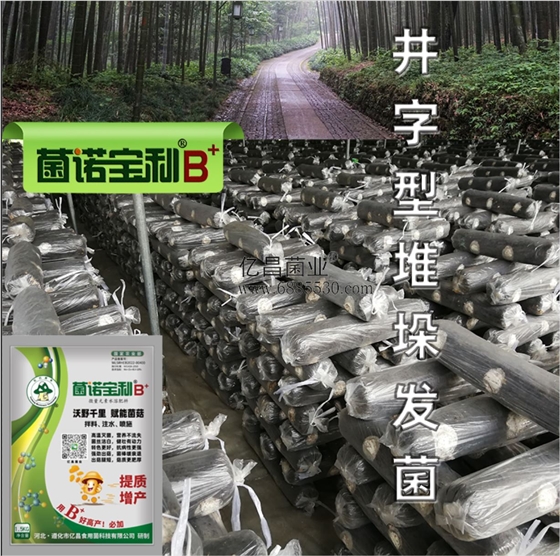 億昌菌業(yè)-菌諾寶利B+（網(wǎng)頁-13）井字形堆垛發(fā)菌