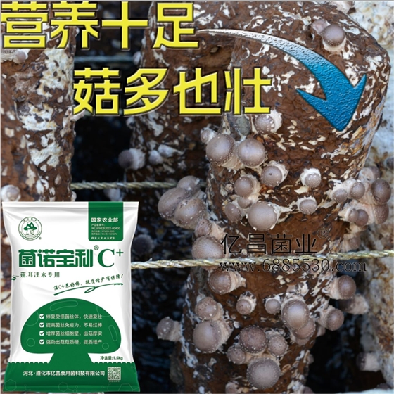 億昌菌業(yè)-注水C+（網(wǎng)頁(yè)版）PC-7）營(yíng)養(yǎng)十足，菇多也壯