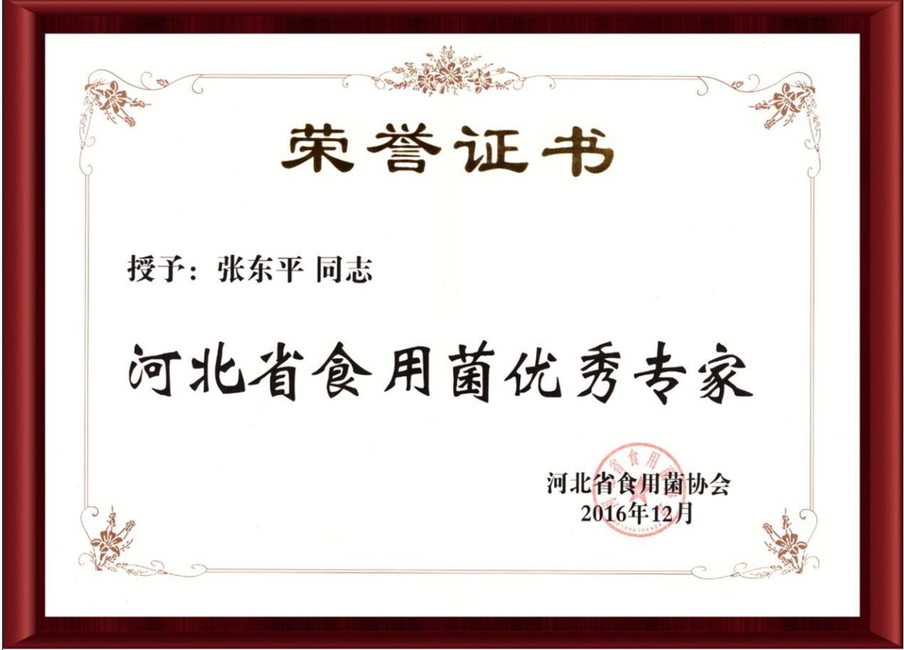 2016河北省食用菌優(yōu)秀專(zhuān)家-億昌菌業(yè)（截屏）.jpg