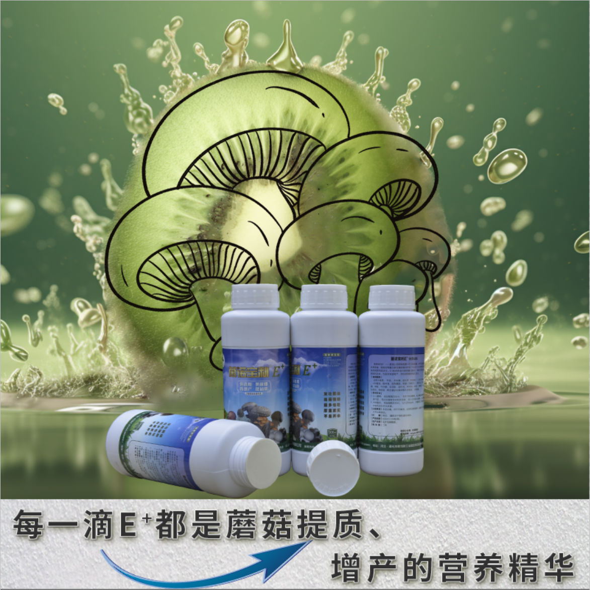 菌諾寶利E+（網(wǎng)頁-11）每一滴E+都是蘑菇長大、長厚的營養(yǎng)精華