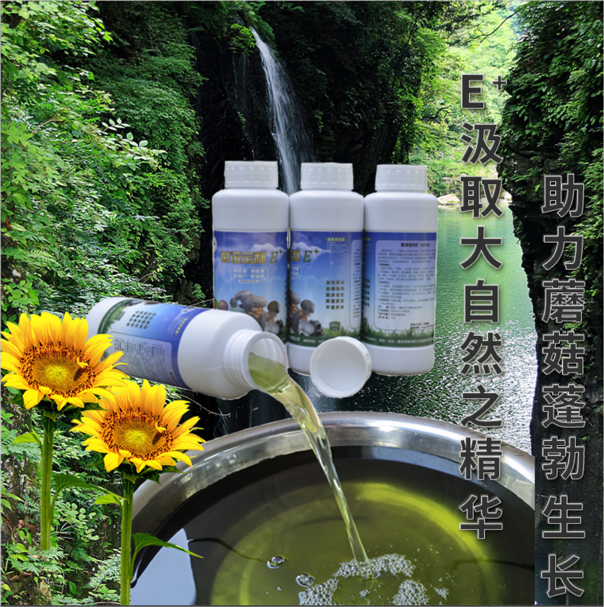 菌諾寶利E+（網(wǎng)頁-12）E+汲取大自然之精華，助力蘑菇蓬勃生長