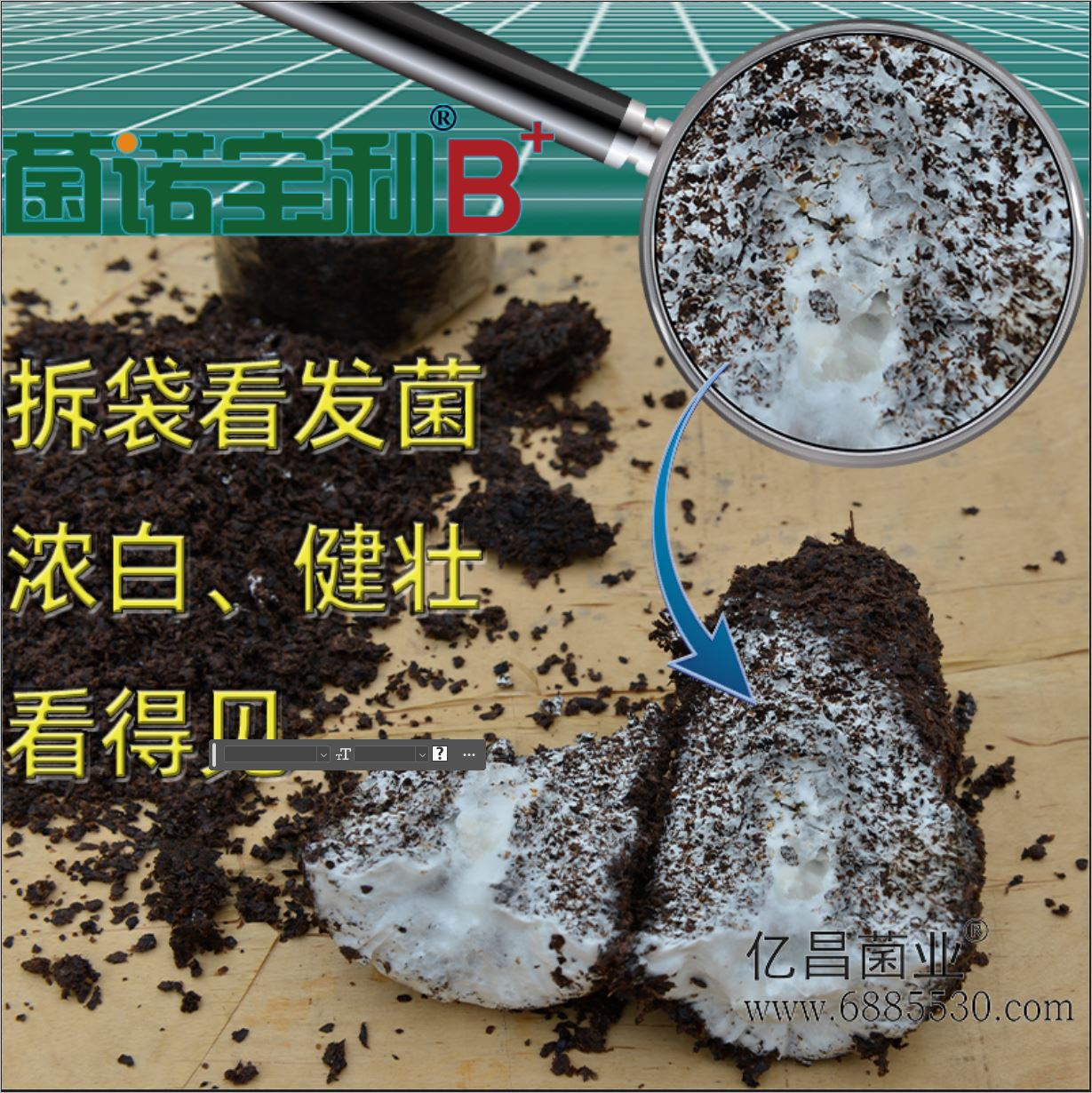 億昌菌業(yè)-菌諾寶利B+（網(wǎng)頁-3）拆袋看發(fā)菌，強壯看得見