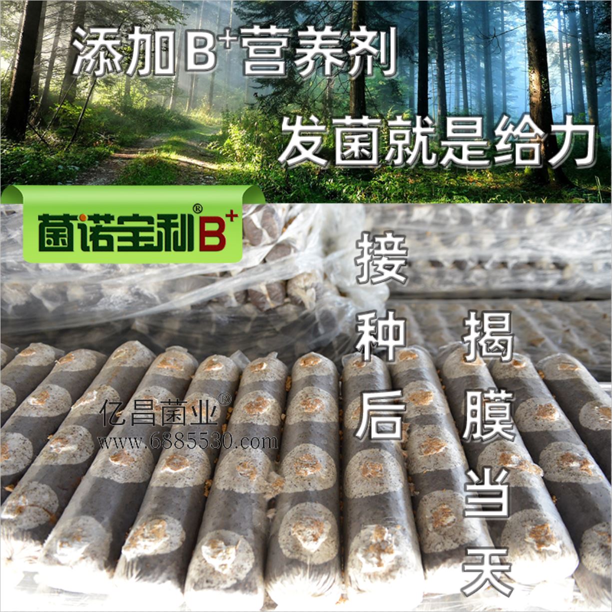 億昌菌業(yè)-菌諾寶利B+（網(wǎng)頁-15）添加B+營養(yǎng)劑，發(fā)菌就是給力