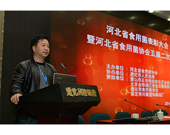 遵化市億昌食用菌科技有限公司被授予“河北省食用菌優(yōu)秀龍頭企業(yè)”榮譽(yù)，張東平（中）接授牌匾2016..JPG
