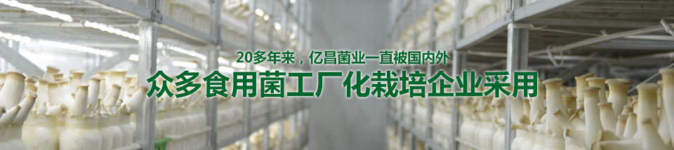 20多年來，億昌菌業(yè)一直被國內(nèi)外眾多食用菌工廠化栽培企業(yè)采用