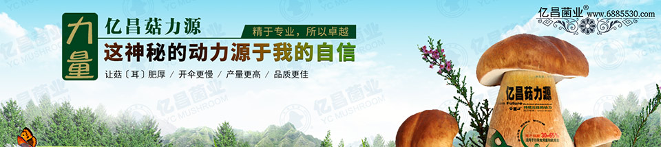 億昌菇力源——讓菇（耳）肥厚、開傘更慢、產(chǎn)量更高、品質(zhì)更佳
