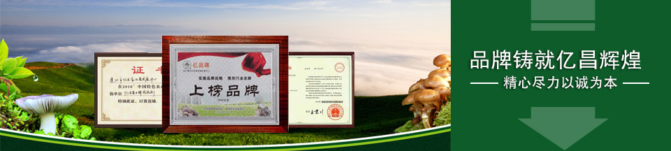 精心盡力以誠為本，品牌鑄就億昌輝煌！